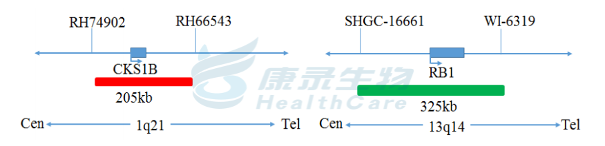 中国·拉斯维加斯(3499·官方认证)网站-Officialwebsite